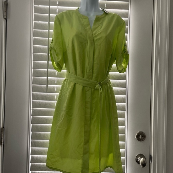 The Limited Light Green Short Sleeve Dress - Picture 2 of 11